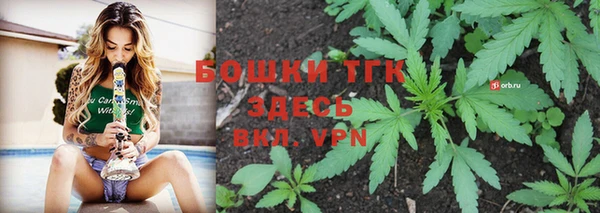 mdpv Лабытнанги