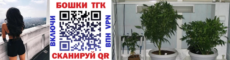 что такое   Сураж  Конопля семена 